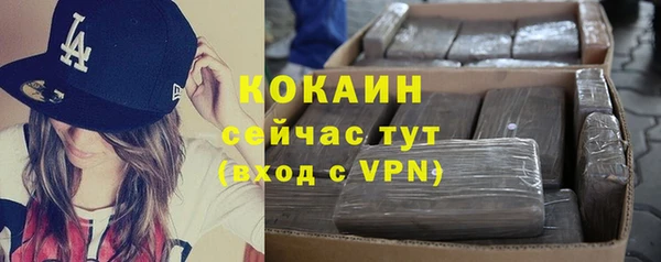 эйфоретик Дмитров