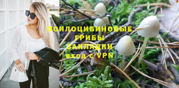 эйфоретик Дмитров