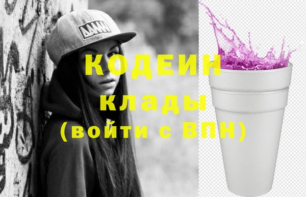 амф Гусь-Хрустальный