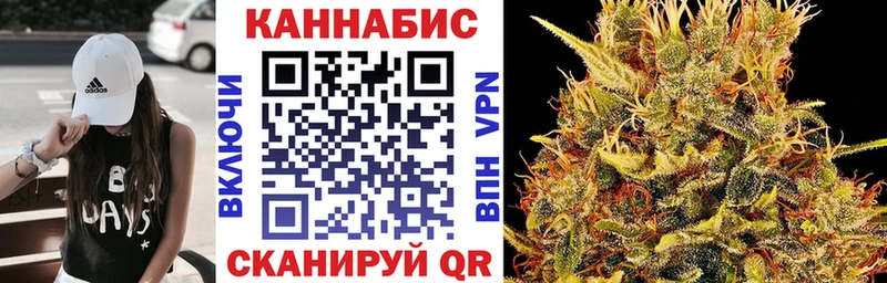 где можно купить   Находка  Бошки марихуана OG Kush 
